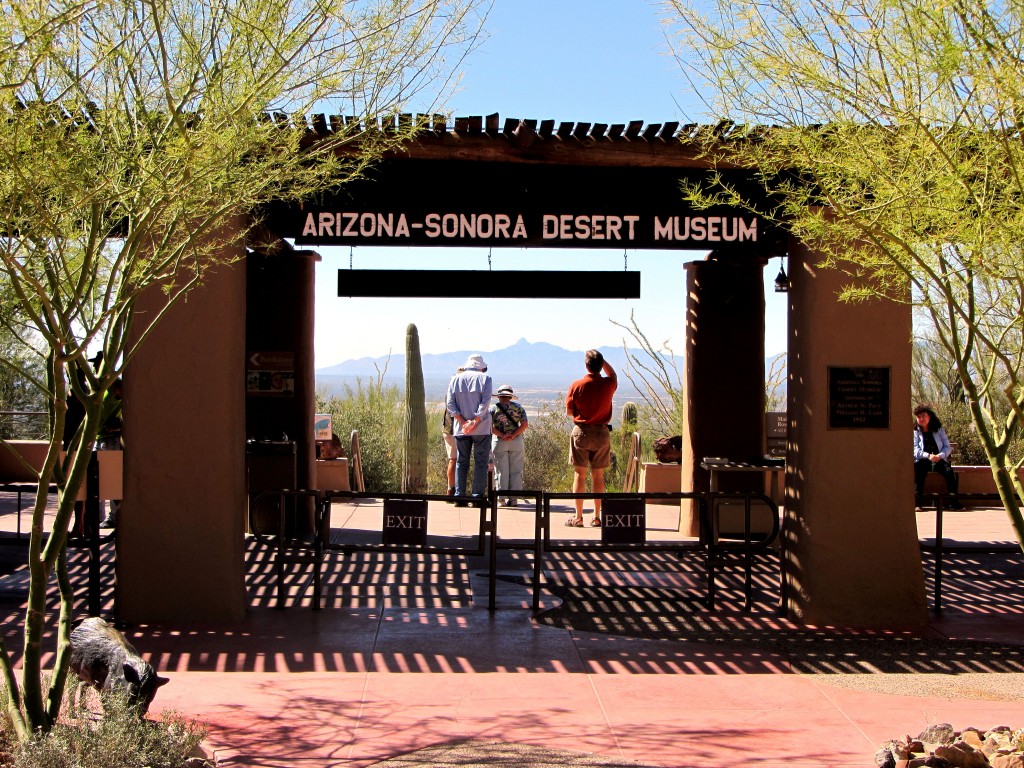 Gateway to the Arizona-Sonora Desert Museum